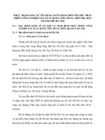 THỰC TRẠNG ĐẦU TƯ TÍN DỤNG NGÂN HÀNG ĐỐI VỚI VIỆC PHÁT TRIỂN CÔNG NGHIỆP SẢN XUẤT HÀNG TIÊU DÙNG TRÊN ĐỊA BÀN THÀNH PHỐ HÀ NỘI