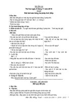 Giáo án tuần 11 lớp 3 - CKTKN