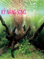 GIAO DUC KY NANG SONG