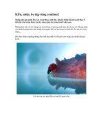 Vẻ đẹp côn trùng