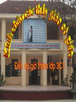 Bài 3: Chuột máy tính