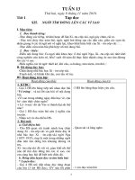 GA Lop 4 - Tuan 13 (Hay)