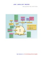 AMIN - AMINO AXIT - PROTEIN (Hồ Chí Tuấn - ĐH Y HN)