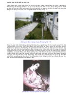 Huyền tích về tổ mẫu họ Vũ.doc