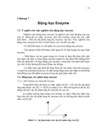 Động học Enzyme