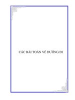 CÁC BÀI TOÁN VỀ ĐƯỜNG ĐI