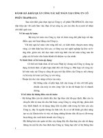 ĐÁNH GIÁ KHÁI QUÁT CÔNG TÁC KẾ TOÁN TẠI CÔNG TY CỔ PHẦN TRAPHACO