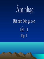 Bài đàn gà con tiết 11