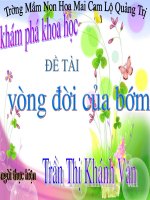 vong đời của bướm
