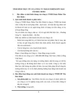 TÌNH HÌNH THỰC TẾ CỦA CÔNG TY TRÁCH NHIỆM HỮU HẠN TÂN ĐứC MINH