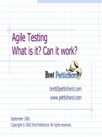 Agile Testing What is it? Can it work?