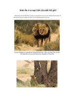 Cuộc sống ở sa mạc