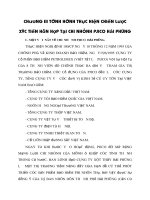 Chương III tình hình thực hiện chiến lược