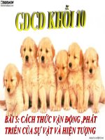 bài 5 lớp 10 CHẤT - LƯỢNG