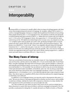 Interoperability