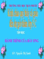 TĐL5 - Hành trình của bầy ong