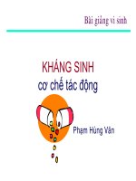 Kháng sinh_Cơ chế tác động