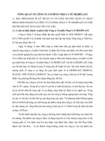 TỔNG QUAN VỀ CÔNG TY CỔ PHẦN NHỰA Y TẾ MEDIPLAST