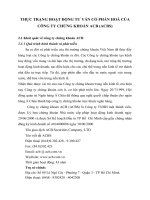 THỰC TRẠNG HOẠT ĐỘNG TƯ VẤN CỔ PHẦN HOÁ CỦA CÔNG TY CHỨNG KHOÁN ACB