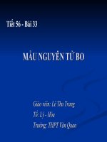 Mau nguyen tu Bo