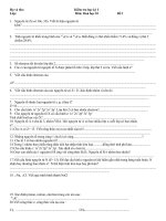 Hoa 10 Thi thu HKI04.