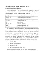 Tổng quan về công ty cổ phần dầu nhờn Quốc tế Việt Mỹ