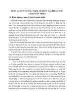 TỔNG QUAN VỀ CÔNG NGHỆ CHUYỂN MẠCH NHÃN ĐA GIAO THỨC MPLS