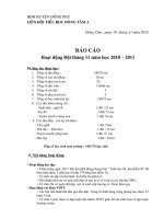 Báo cáo T11