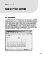 Web services testing
