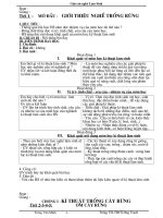 Giao an Nghe Trong Rung