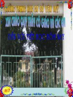 tiết 31, luyện tập hàm số lớp 7