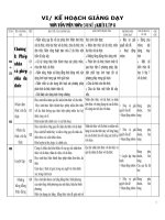 Kế hoạch giảng dạy môn Toán 8 (2010-2011)