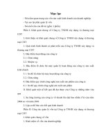 Báo cáo -Quản lý vốn của doanh nghiệp