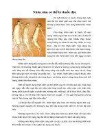 Nhân sâm có thể là thuốc độc