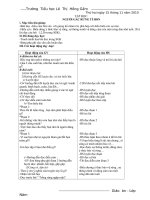 Tiếng Việt 5-Tuần 13-CKTKN