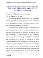 GIẢI PHÁP NHẰM HÌNH THÀNH NHỮNG ĐIỀU KIỆN CƠ BẢN CHO MỘT ĐỒNG TIỀN CHUNG ASEAN VÀ CÁC VẤN ĐỀ CỦA VIỆT NAM