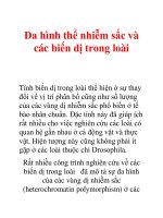 Đa hình thể nhiễm sắc và các biến dị trong loài