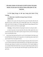 TÍN DỤNG TRUNG VÀ DÀI HẠN VÀ CHẤT LƯỢNG TÍN DỤNG TRUNG VÀ DÀI HẠN CỦA NHTM TRONG NỀN KINH TẾ THỊ TRƯỜNG