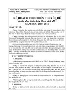 Kế hoạch thực hiện CĐ Giáo dục tích hợp năm 2010-2011