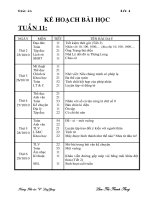 GA lớp 4 tuần 11 chuân KTKN 2010-2011