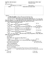 KIỂM TRA TIẾNG VIỆT (45 PHÚT)