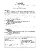 Giao An Lop4 Tuan 10 (CKT + GDBVMT)