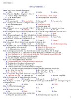 ON TAP CN12 HKI 2010-2011