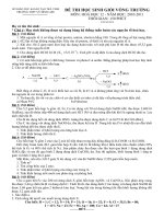 Đề và đáp án chi tiết HSG 2010-2011