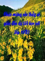 Hệ trục tọa độ T2