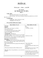 giao an lop 2- tuan 12 cktkn