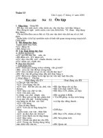 Giáo án Lớp 1 Tuần 13-Sơn