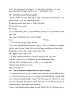 THỰC TRẠNG HOẠT ĐỘNG ĐẦU TƯ NÂNG CAO NĂNG LỰC SẢN XUẤT KINH DOANH CỦA CÔNG TY    TNHH VIÊT  ANH