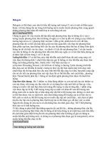 Các Chủ Đề Tiến Bộ Trong C# part 3