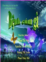 Benh cum gia cam